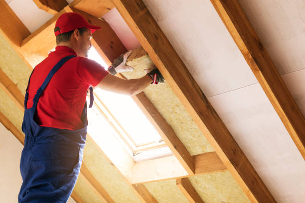 Best Insulation for Existing Homes  in Paul, ID